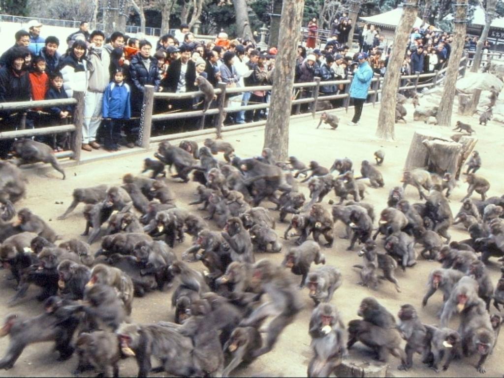 Kannawaso Beppu Luaran gambar